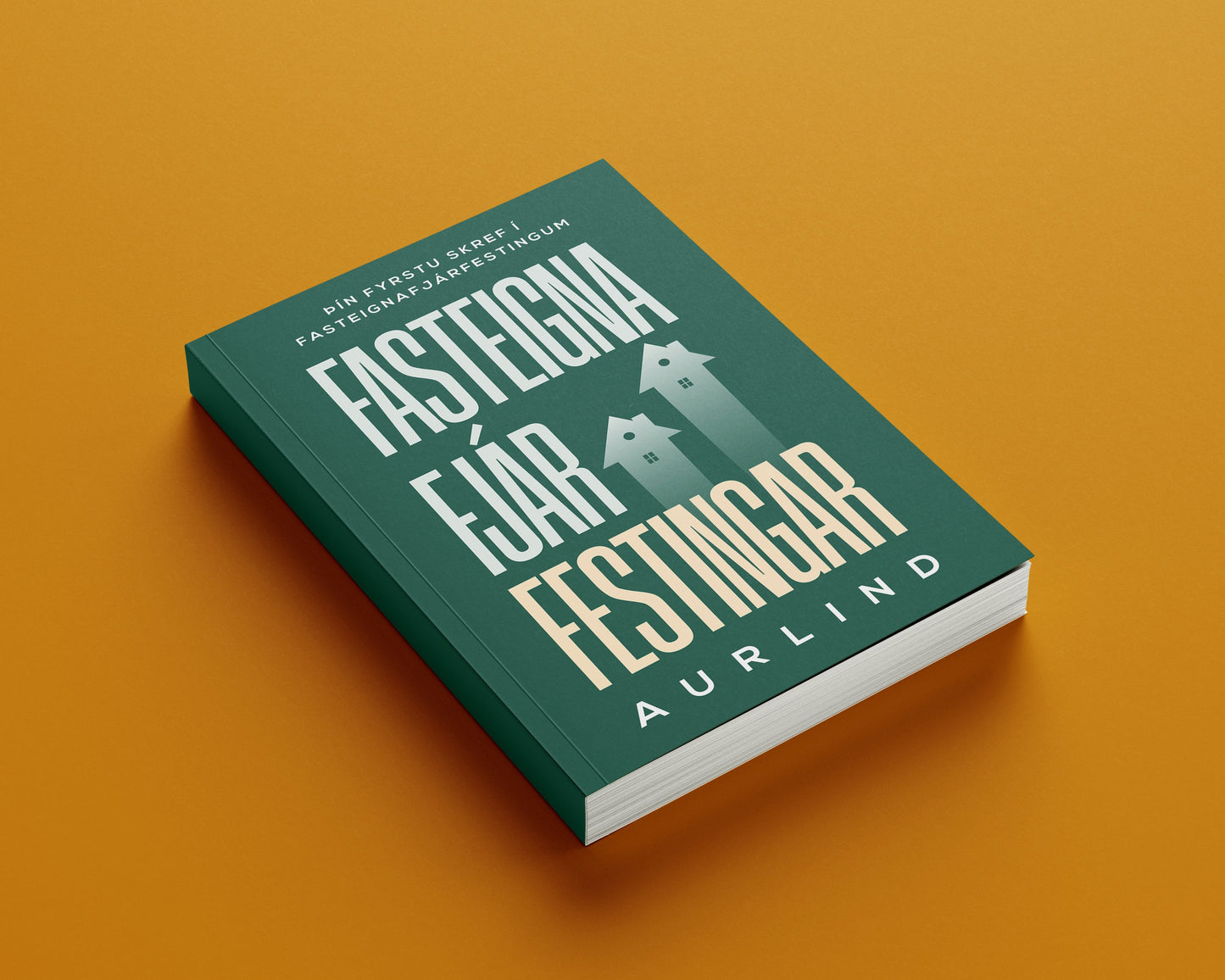 Fasteignafjárfestingar - Þín fyrstu skref í fasteignafjárfestingum - Rafbók